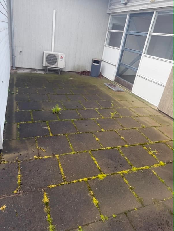 Terrasse renset for mos og grønt skær — før
